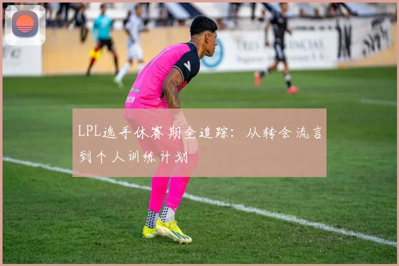 LPL选手休赛期全追踪:从转会流言到个人训练计划