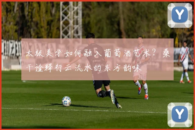 太极美学如何融入葡萄酒艺术？桑干诠释行云流水的东方韵味