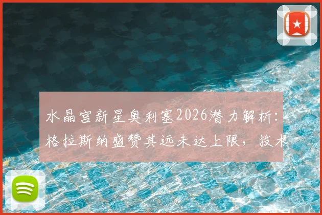 水晶宫新星奥利塞2026潜力解析：格拉斯纳盛赞其远未达上限，技术特点与未来高度展望